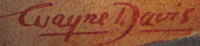 Wayne Davis signature